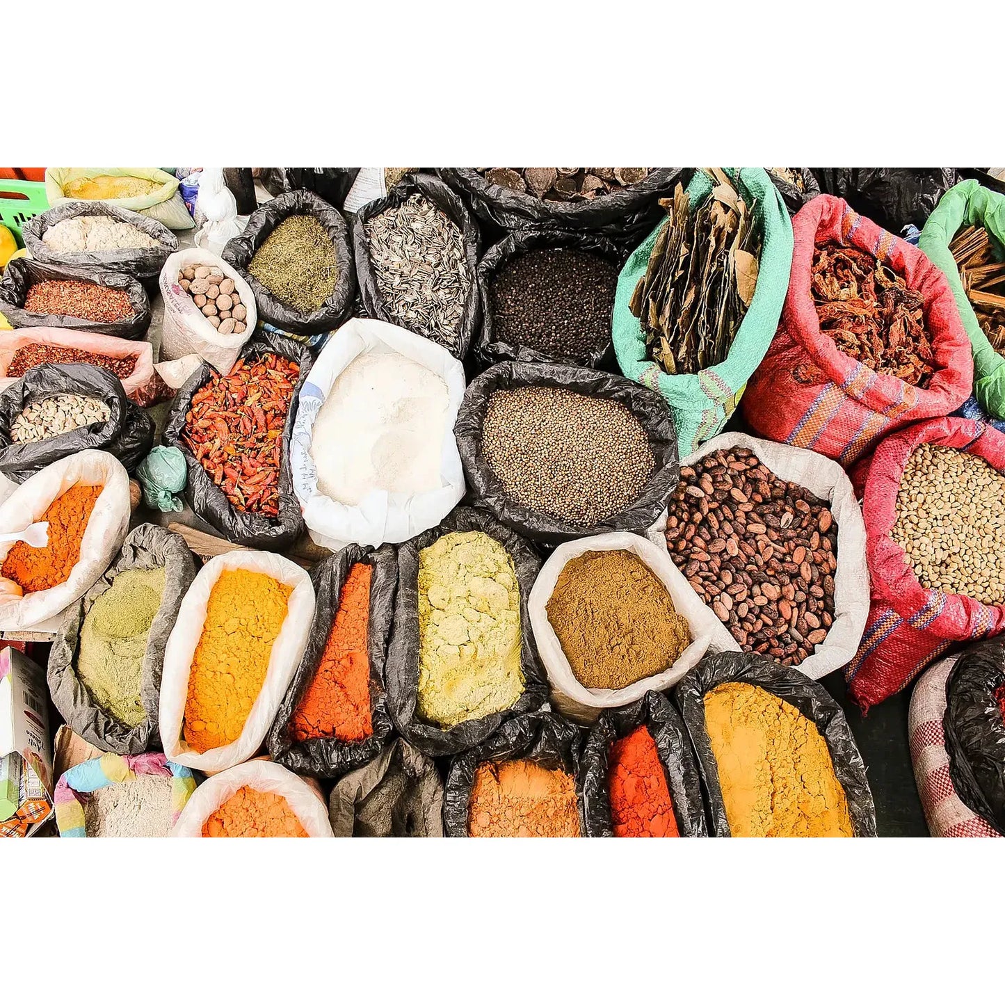 Group Trip 2025 - Ecuador with Harmen Hoek