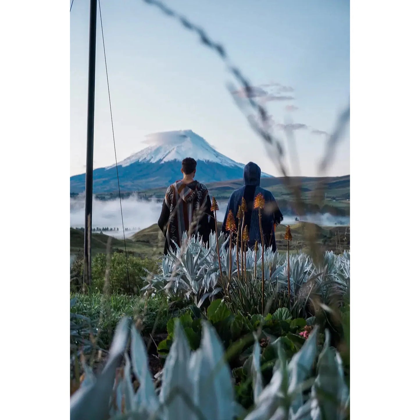 Group Trip 2025 - Ecuador with Harmen Hoek
