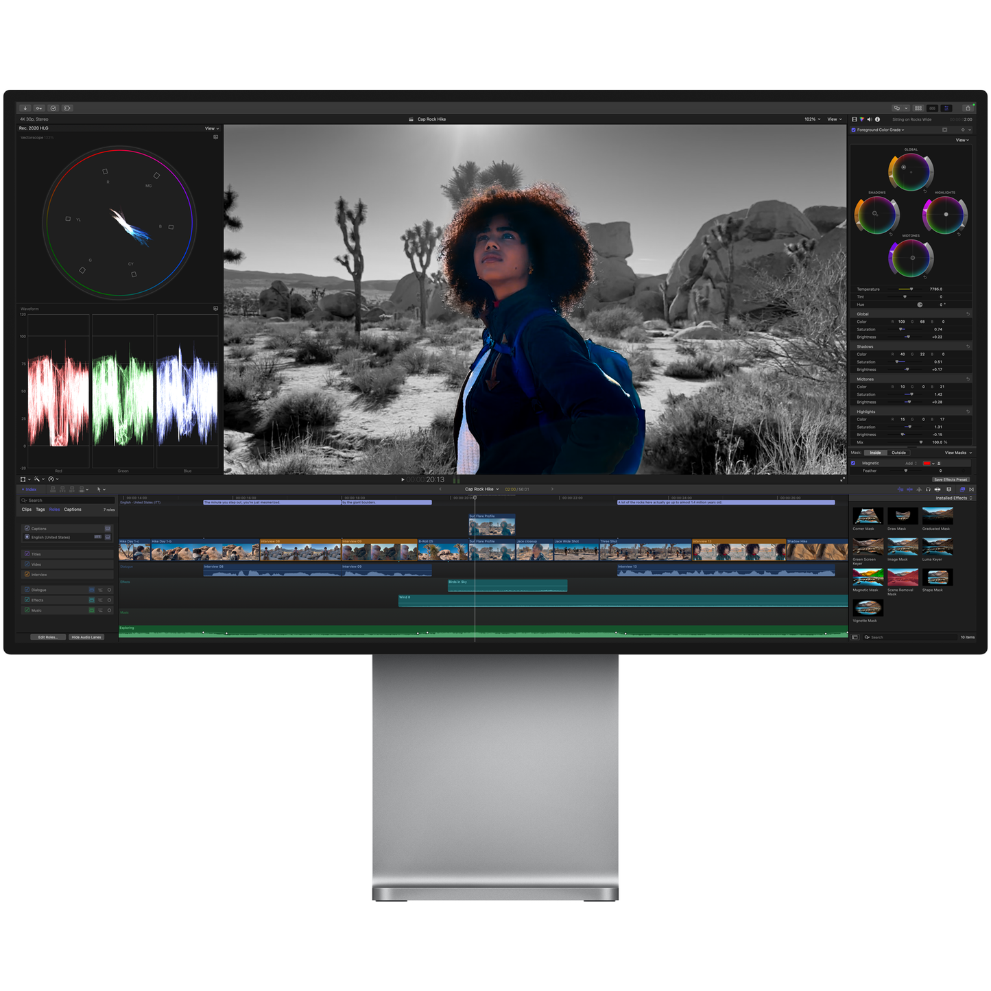 Apple Final Cut Pro 11