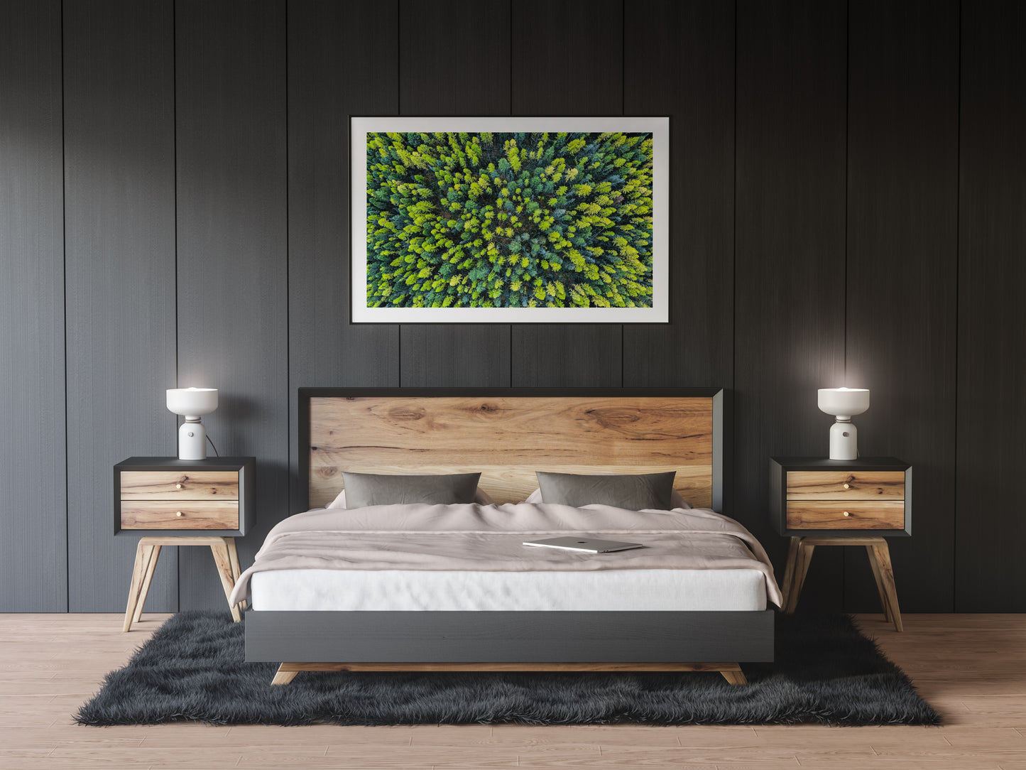 Larch Forest - Montana, USA