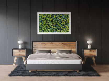 Larch Forest - Montana, USA