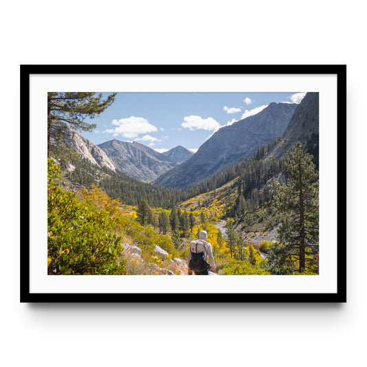Fall colors in the Sierras