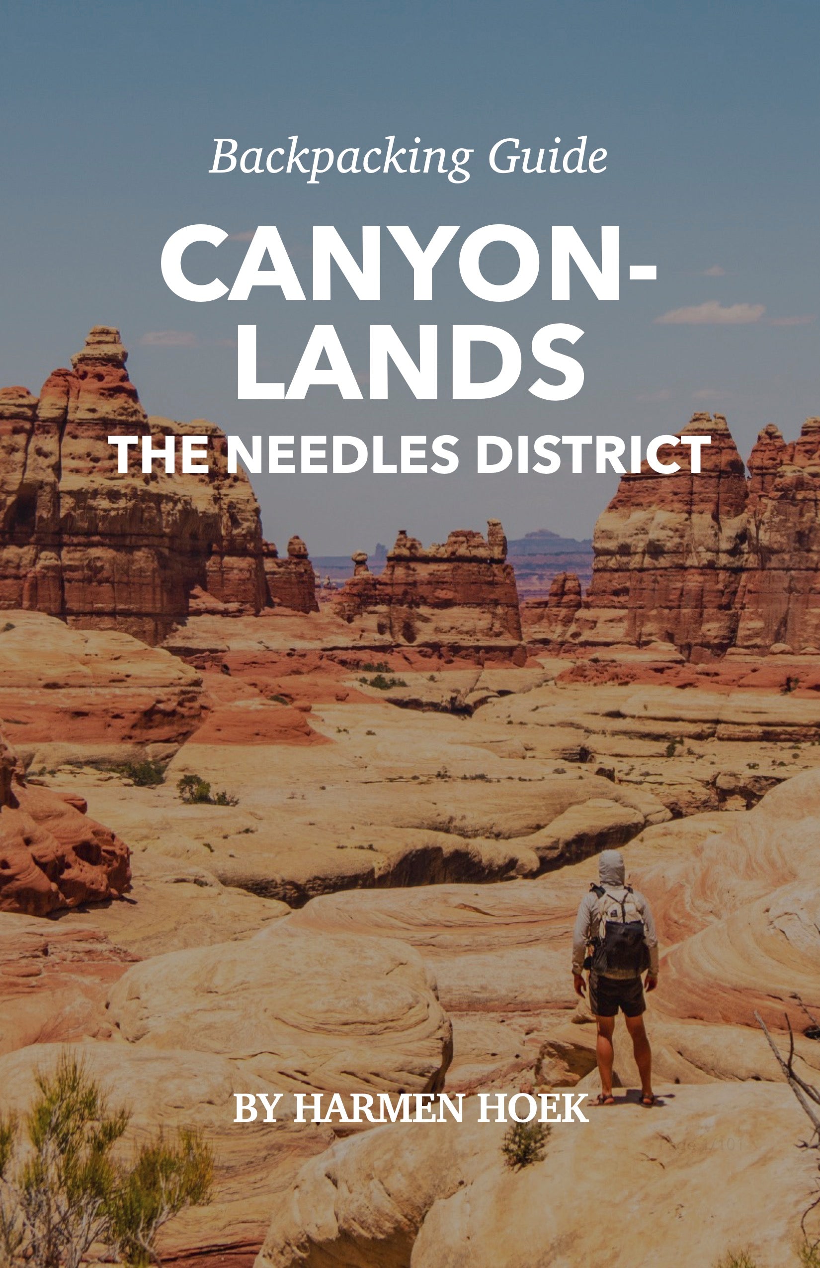 best backpacking travel guide books Guide Backpacking Canyonlands The Needles